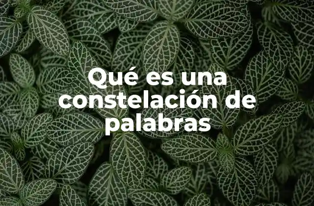 Qué es una Constelación de Palabras