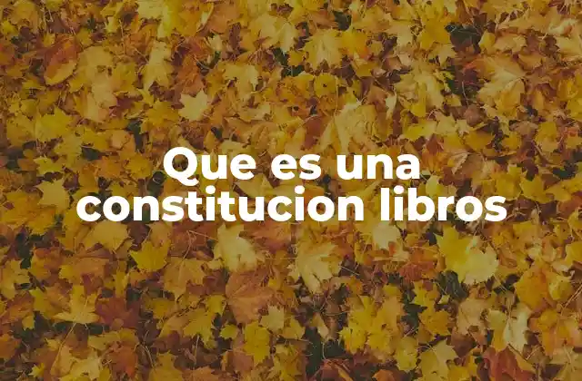 Que es una Constitucion Libros 2 La base fundamental de un libro como si fuera una constitución