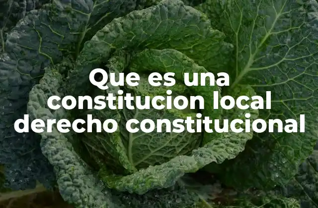 Que es una Constitucion Local Derecho Constitucional