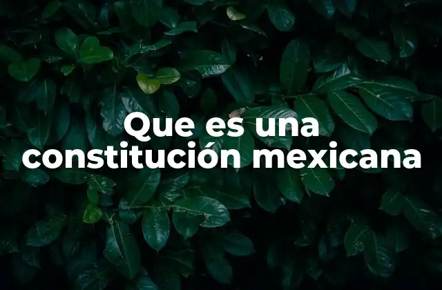 Que es una Constitución Mexicana