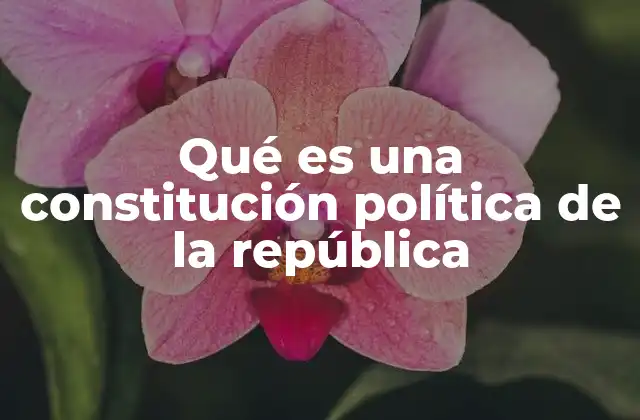 Qué es una Constitución Política de la República