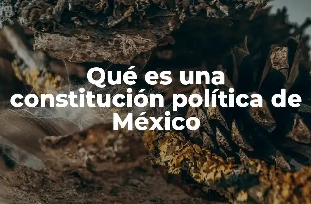 Qué es una Constitución Política de México