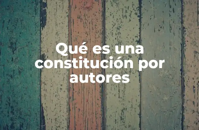 Qué es una Constitución por Autores