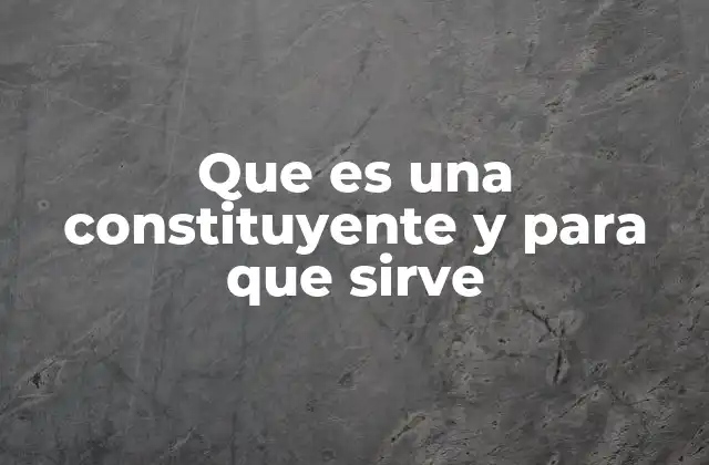 Que es una Constituyente y para que Sirve
