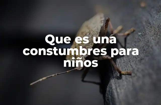 Que es una Constumbres para Niños