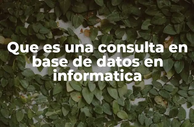 Que es una Consulta en Base de Datos en Informatica