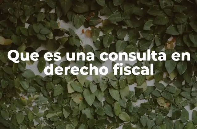 Que es una Consulta en Derecho Fiscal