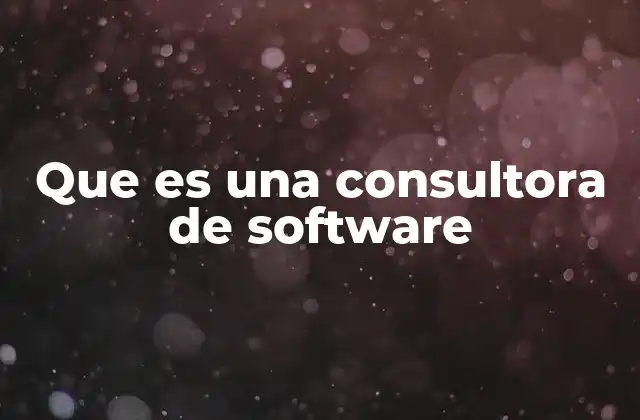 Que es una Consultora de Software