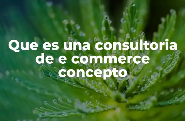 Que es una Consultoria de e Commerce Concepto