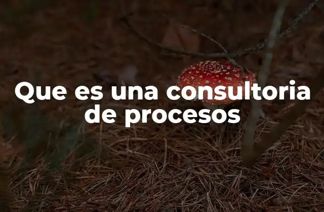Que es una Consultoria de Procesos 2 La importancia de los procesos en la gestión empresarial