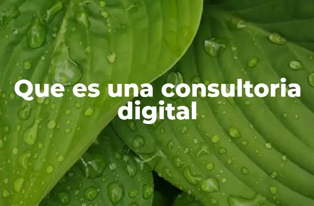 Que es una Consultoria Digital 2 Cómo las empresas tradicionales se adaptan al entorno digital