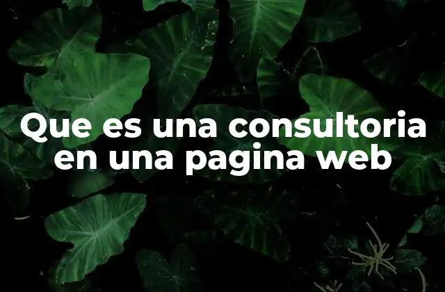 Que es una Consultoria en una Pagina Web