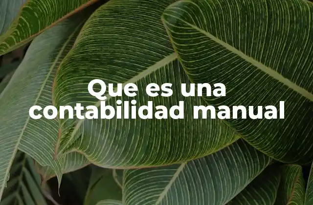 Que es una Contabilidad Manual