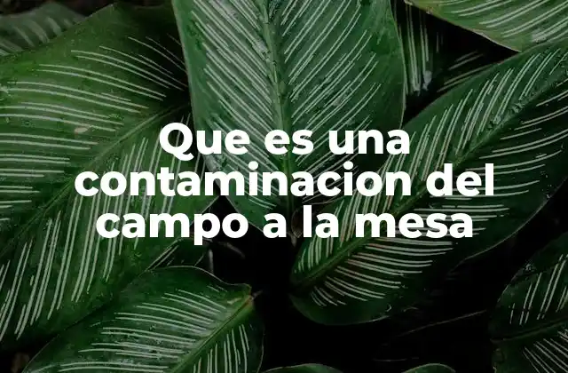 Que es una Contaminacion Del Campo a la Mesa