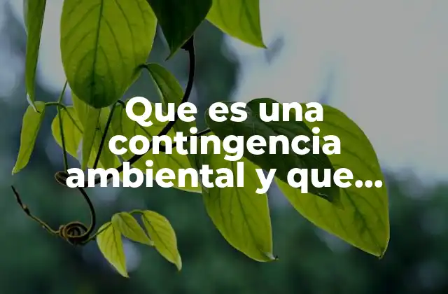 Que es una Contingencia Ambiental y que Instituciones Generalmente Participan