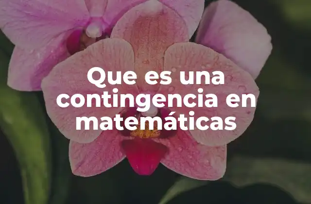 Que es una Contingencia en Matemáticas