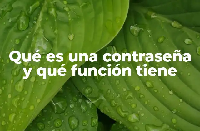 Qué es una Contraseña y Qué Función Tiene