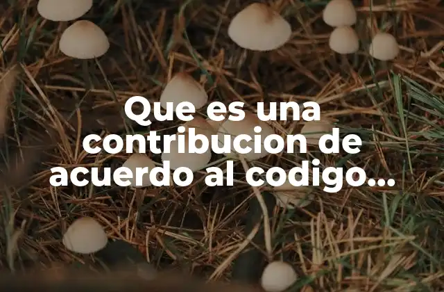 Que es una Contribucion de Acuerdo Al Codigo Fiscal