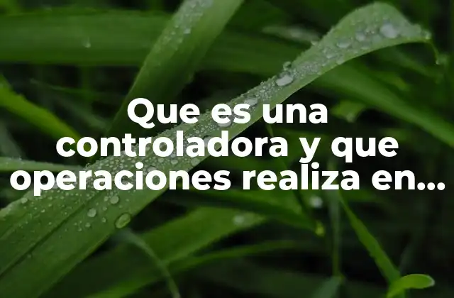 Que es una Controladora y que Operaciones Realiza en Finanzas