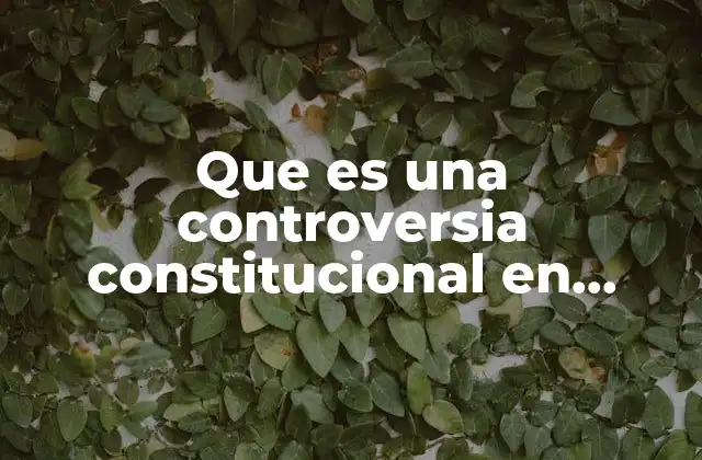 Que es una Controversia Constitucional en Mexico 2019