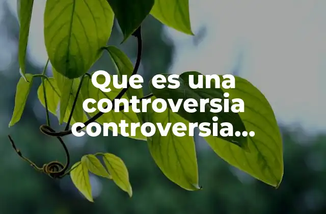 Que es una Controversia Controversia Constitucional Ejemplos 2 Conflictos jurídicos que involucran la Constitución