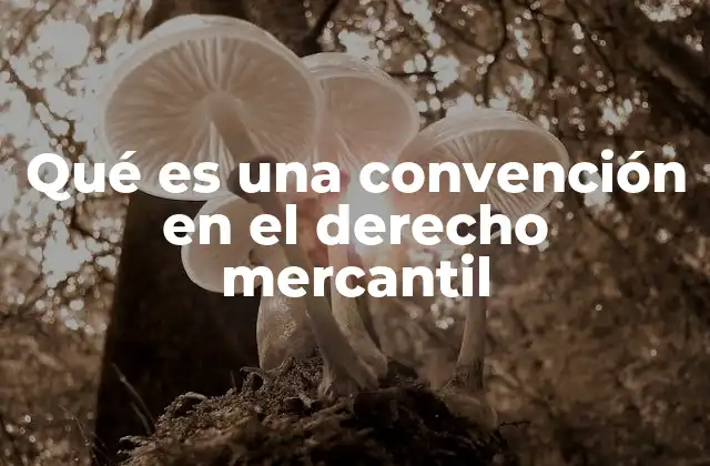 Qué es una Convención en el Derecho Mercantil