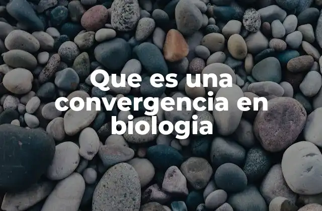 Que es una Convergencia en Biologia