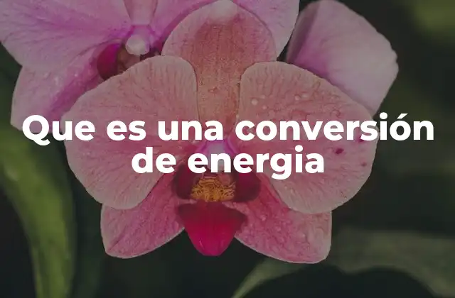 Que es una Conversión de Energia