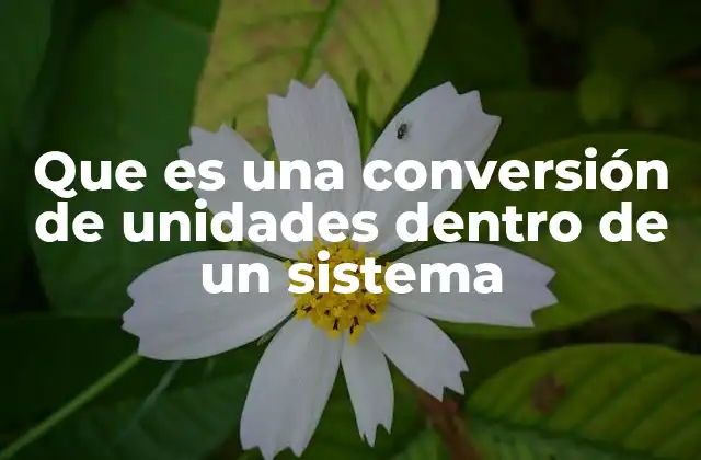 Que es una Conversión de Unidades Dentro de un Sistema