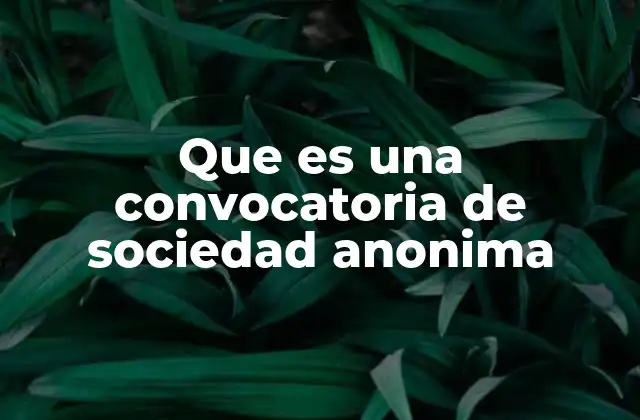 Que es una Convocatoria de Sociedad Anonima