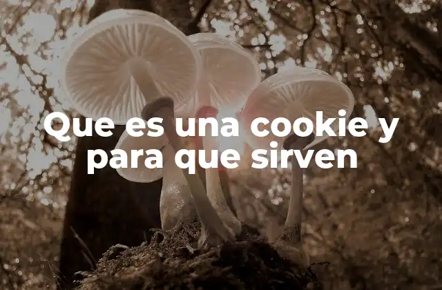Que es una Cookie y para que Sirven 2 Cómo funcionan las cookies y su impacto en la navegación web