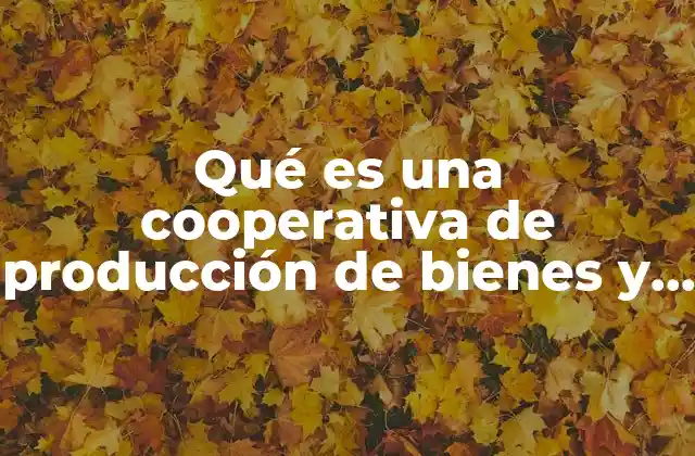 Qué es una Cooperativa de Producción de Bienes y Servicios