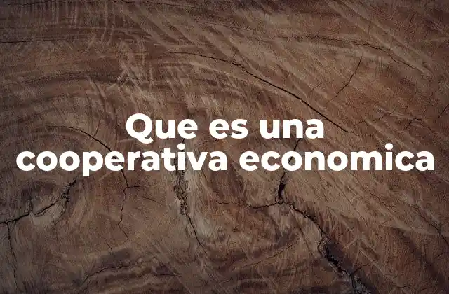 Que es una Cooperativa Economica