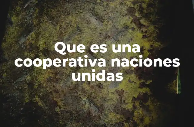 Que es una Cooperativa Naciones Unidas