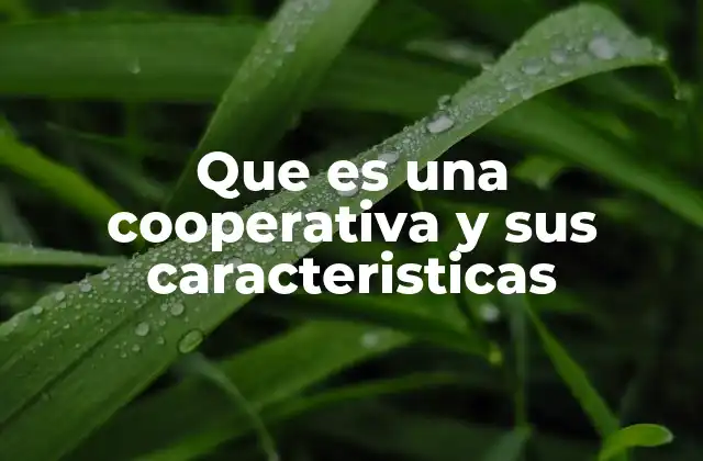 Que es una Cooperativa y Sus Caracteristicas