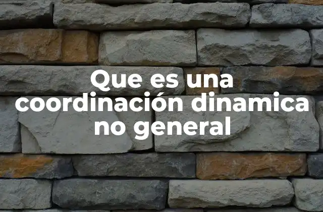 Que es una Coordinación Dinamica No General 2 El papel de las instituciones en la coordinación dinámica