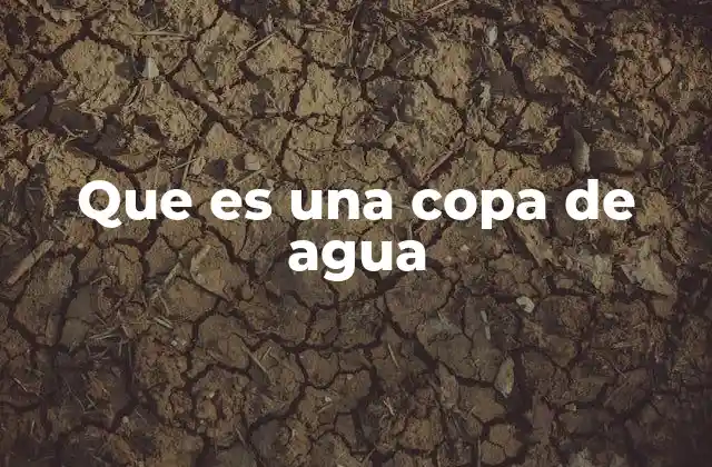 Que es una Copa de Agua