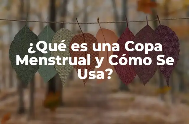 ¿qué es una Copa Menstrual y Cómo Se Usa?