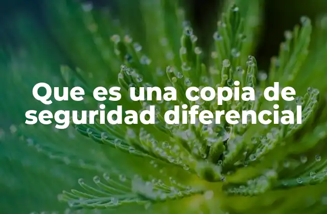 Que es una Copia de Seguridad Diferencial