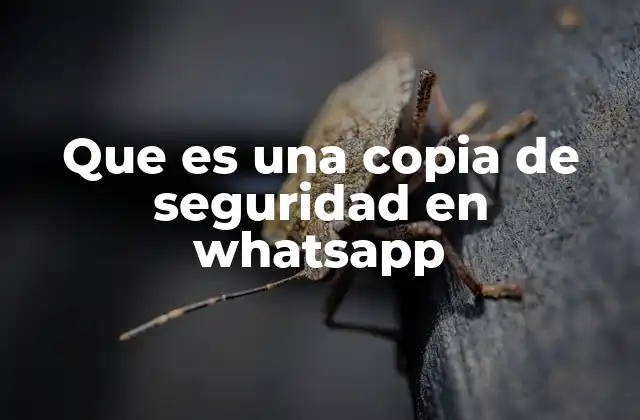 Que es una Copia de Seguridad en Whatsapp