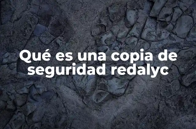 Qué es una Copia de Seguridad Redalyc