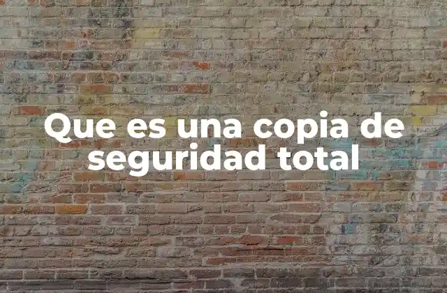 Que es una Copia de Seguridad Total