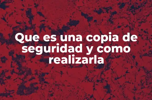 Que es una Copia de Seguridad y como Realizarla
