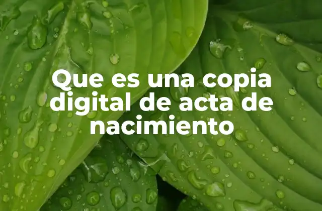 Que es una Copia Digital de Acta de Nacimiento