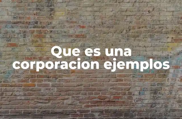 Que es una Corporacion Ejemplos