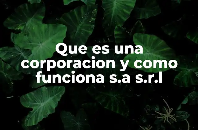 Que es una Corporacion y como Funciona S.a S.r.l