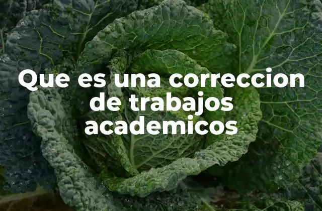 Que es una Correccion de Trabajos Academicos