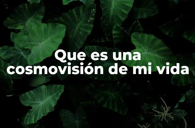 Que es una Cosmovisión de Mi Vida