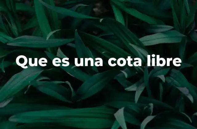 Que es una Cota Libre