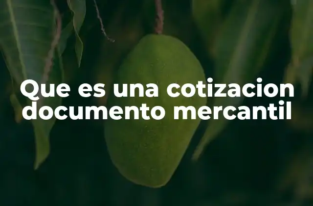 Que es una Cotizacion Documento Mercantil